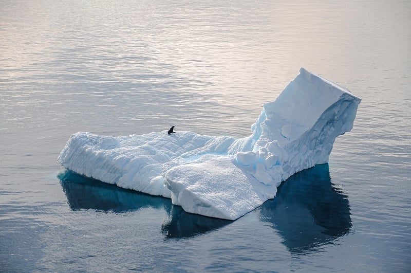 Antarctica